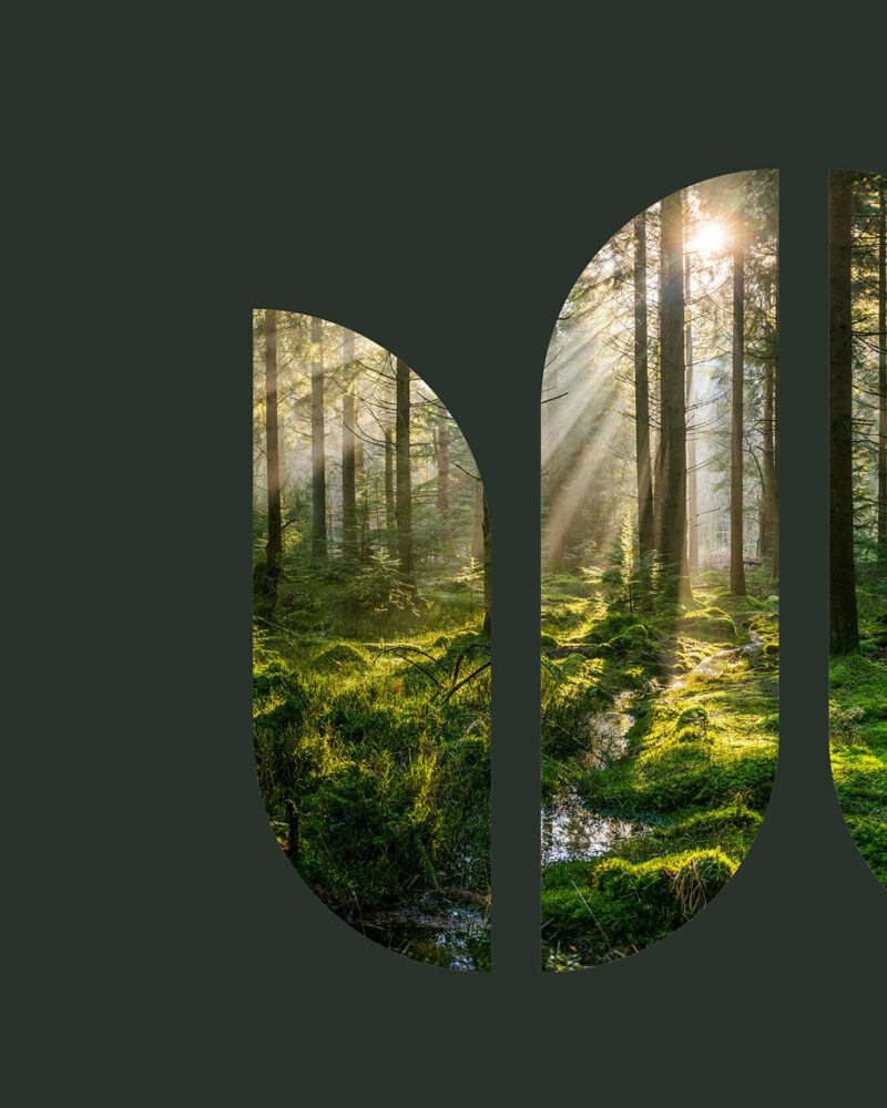 Business region väst element