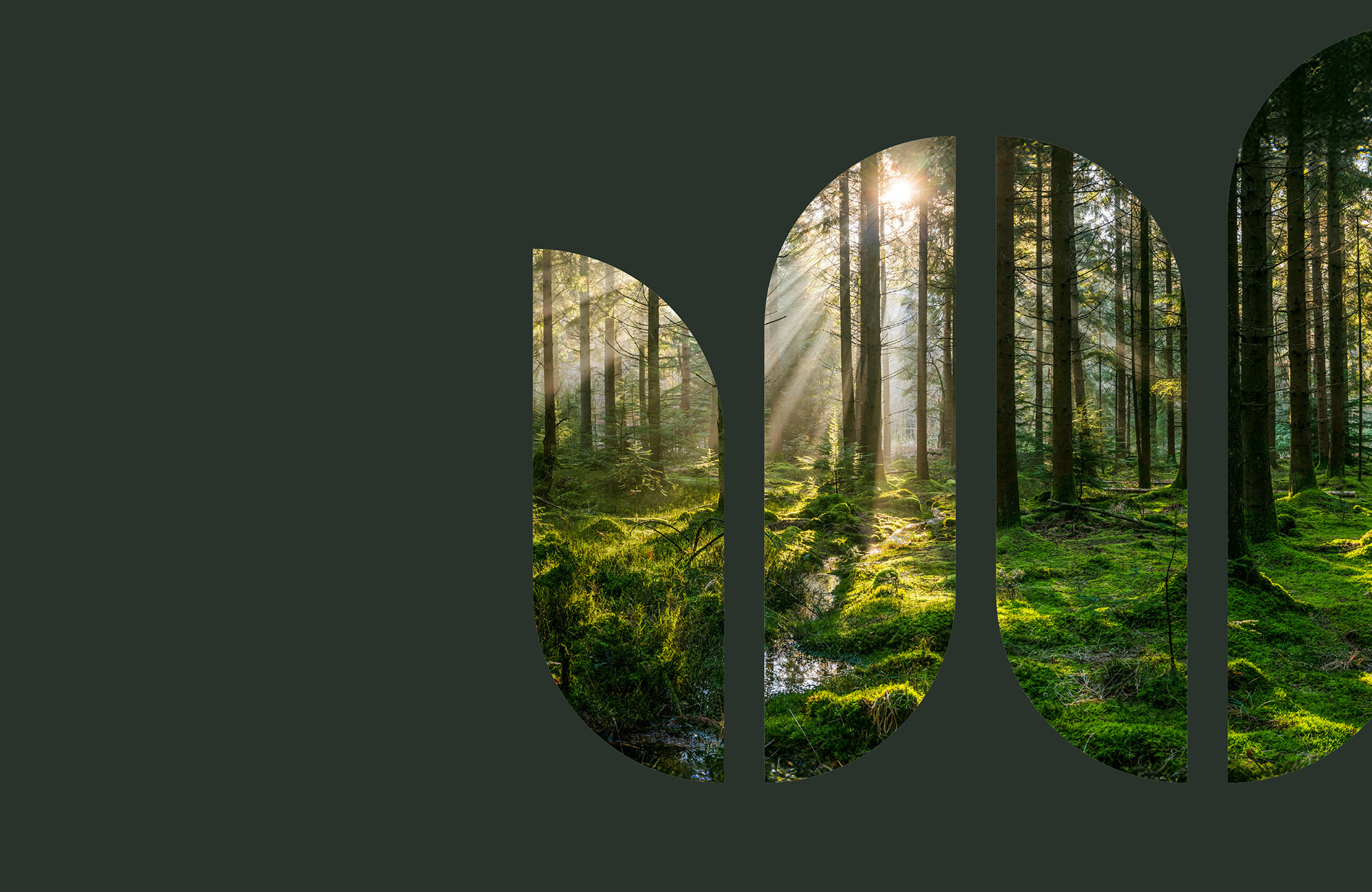 Business region väst element